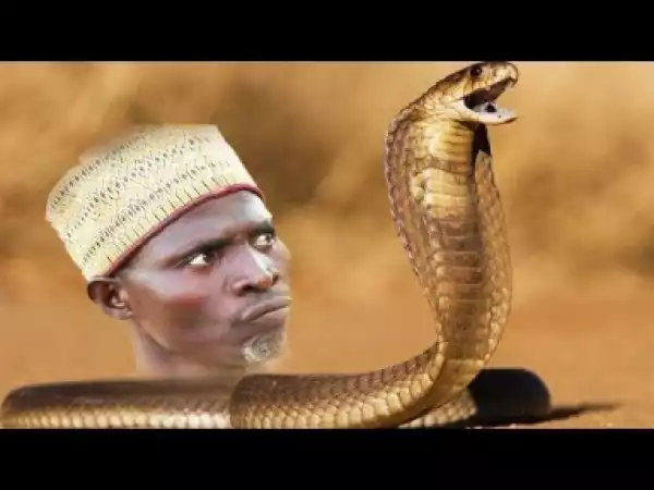 Video: Ibro Maciji - Latest 2018 Nigerian Hausa Movie Arewa Films